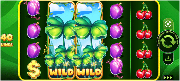 40 bulky fruits 2