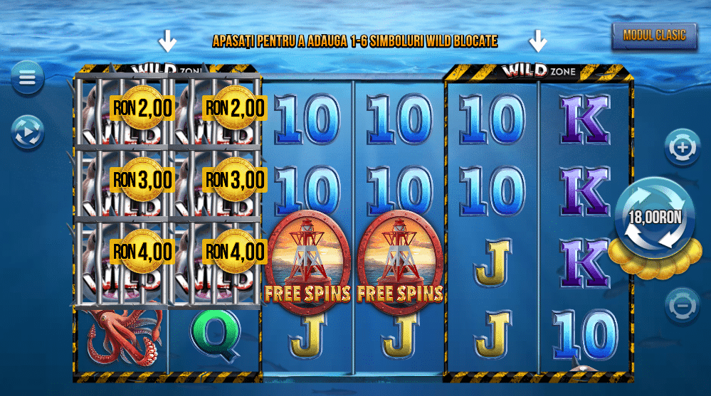 6 wild sharks 1