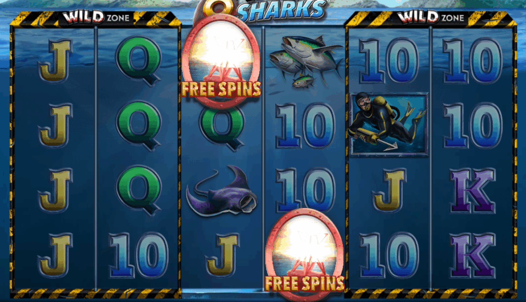 6 wild sharks 5