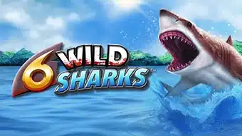 6 Wild Sharks Demo