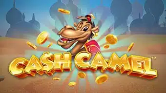 Cash Camel demo