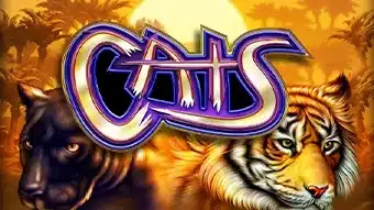 Cats demo